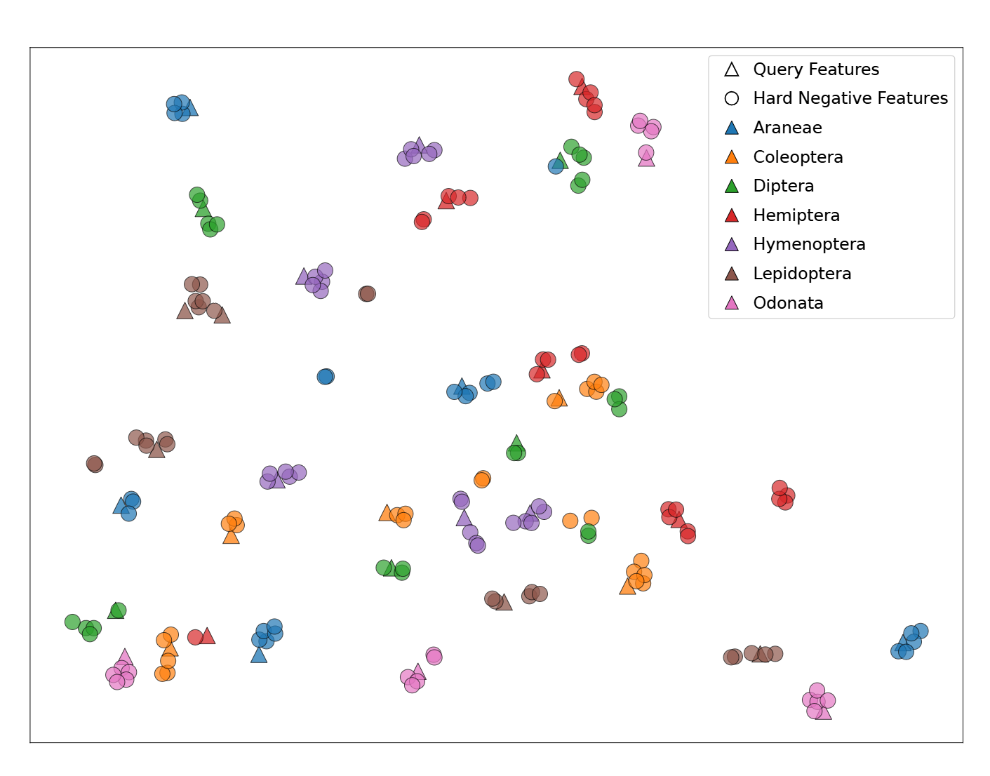 ArTaxOr 数据集中原型嵌入的 t-SNE 降维图